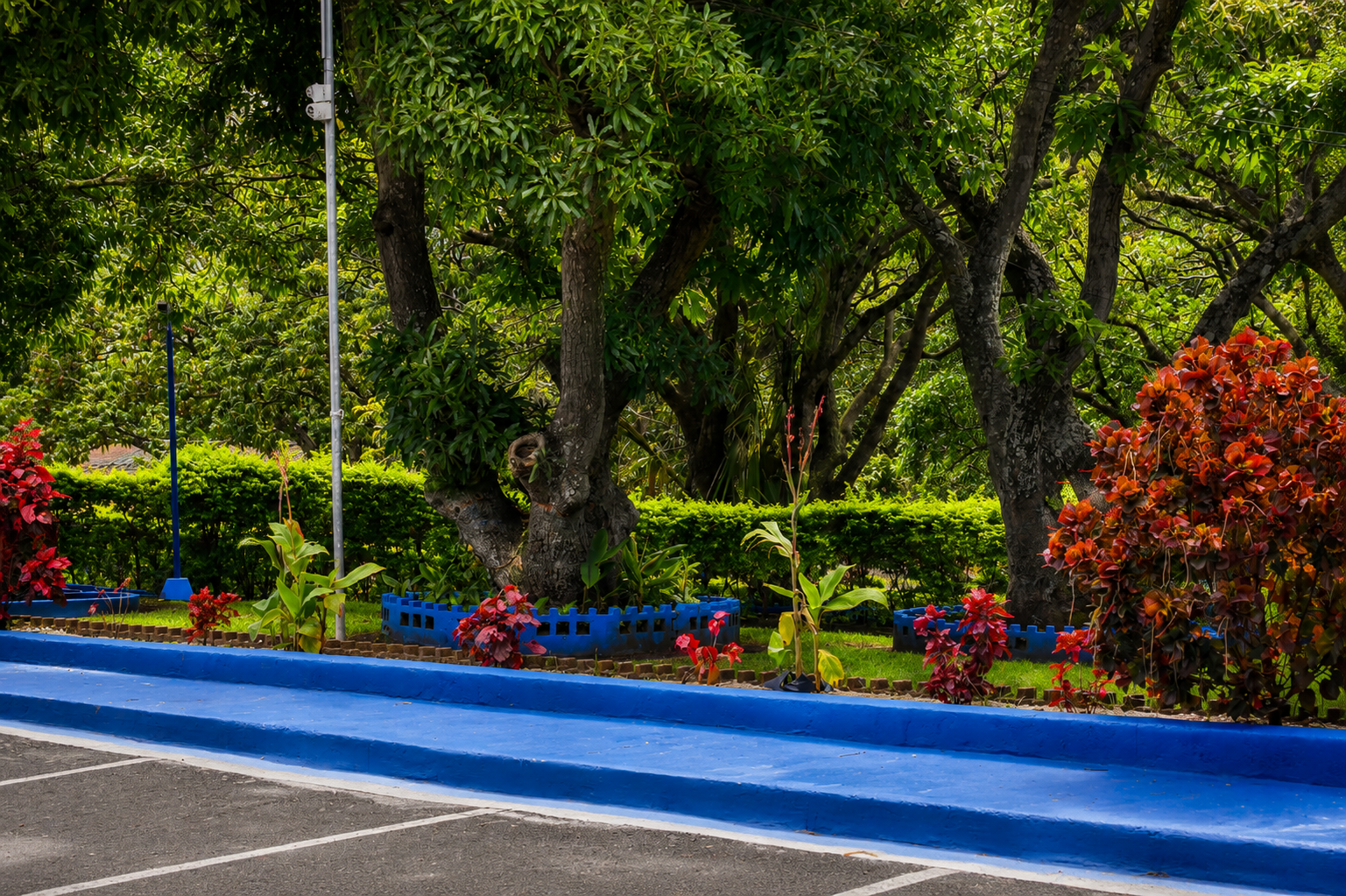 Jardín - imagen 3