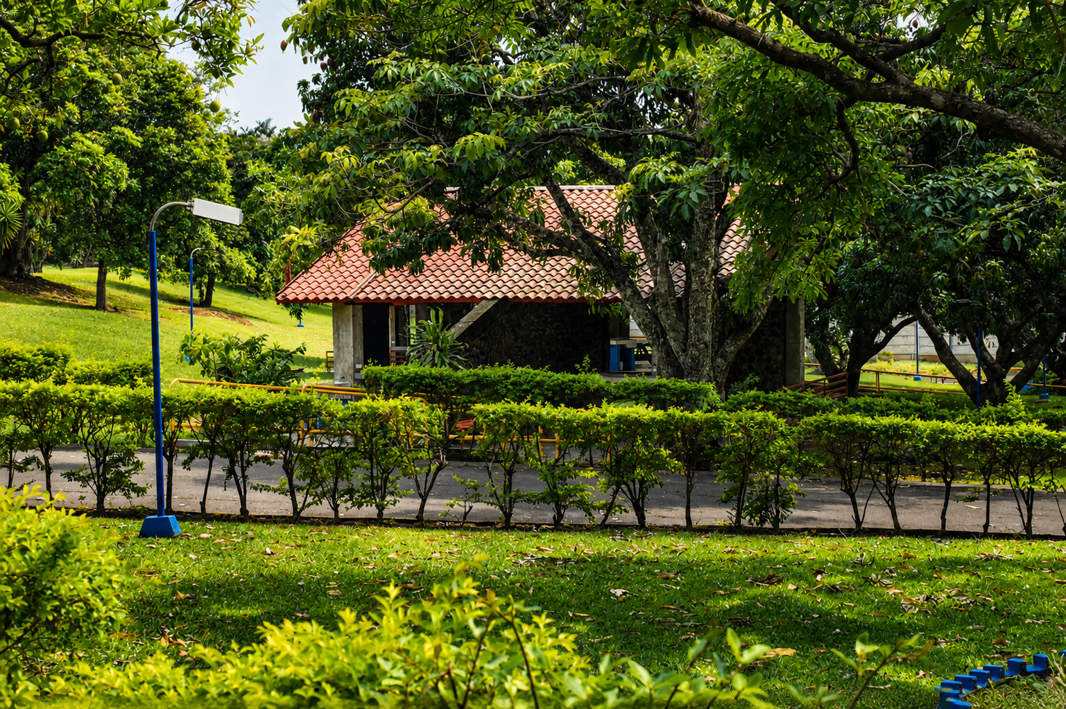 Jardín - imagen 4