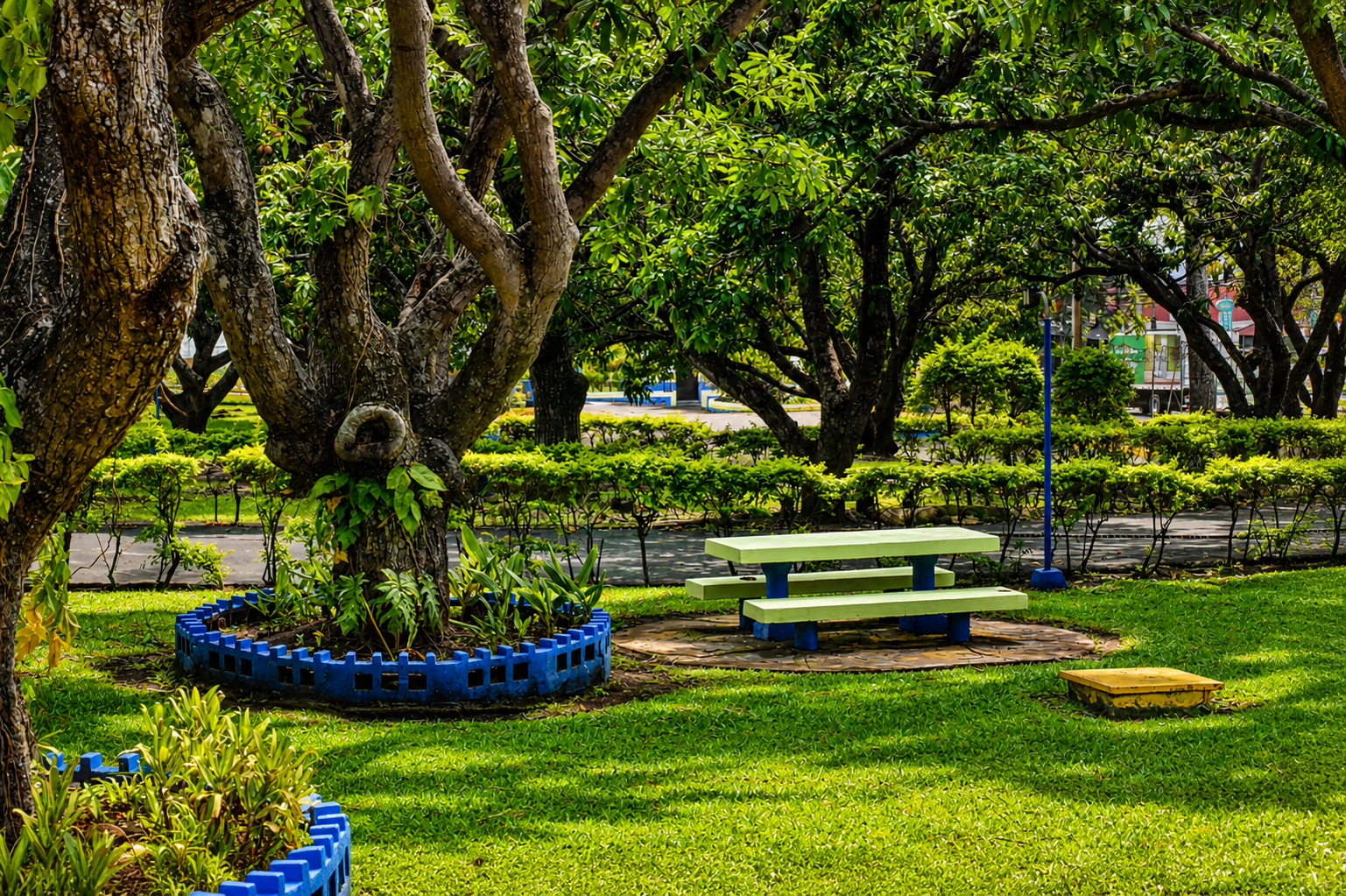 Jardín - imagen 5