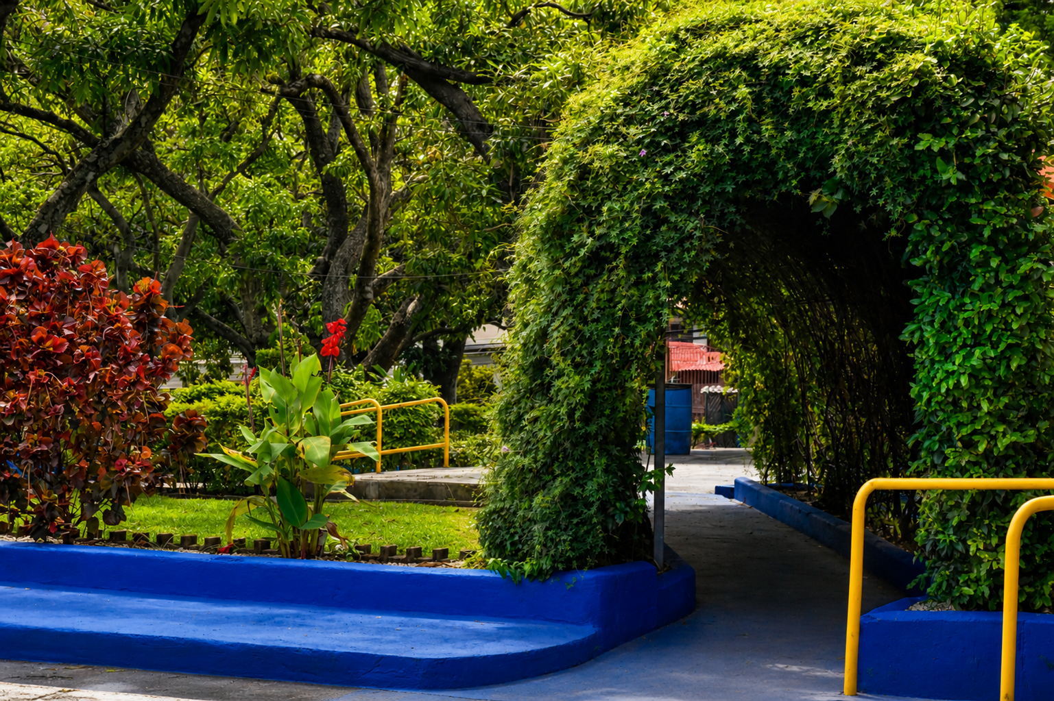 Jardín - imagen 7